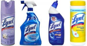 Does Lysol Kill Bed Bugs?