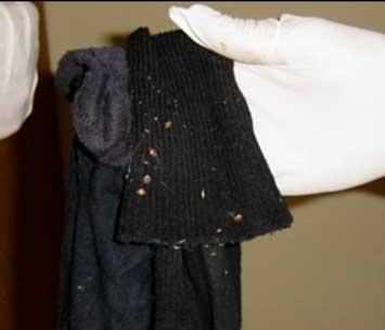 Bed Bugs On Clothes – Complete Treatment Guide | PestSeek