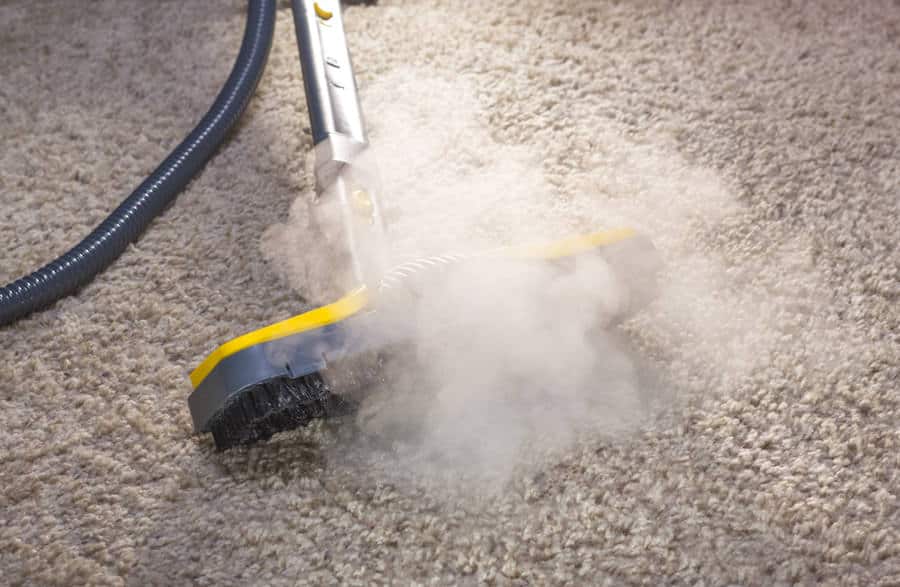 Does Steam Kill Bed Bugs