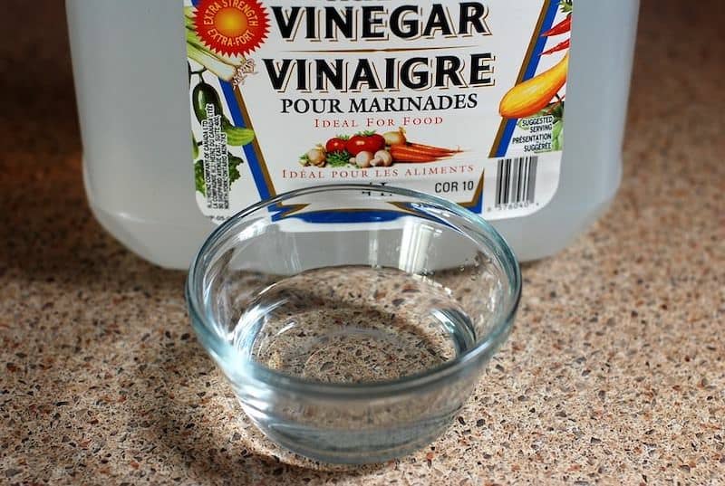 Does Vinegar Kill Fleas?