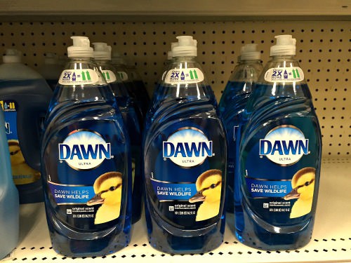 Does blue dawn dish soap kill fleas