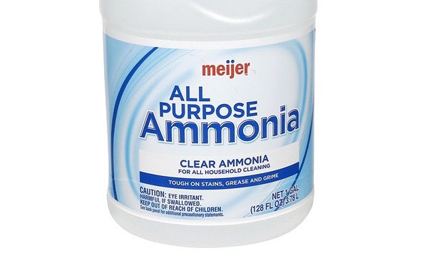 Does Ammonia Kill Bed Bugs?
